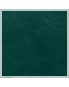 Prime leather, GREEN 05829 