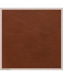 Prime leather, CUOIO 05805 - Emboss 