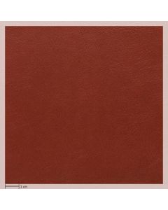 Prime leather, MANGO 05801 