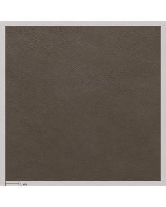 Prime leather, ZINC 05825 