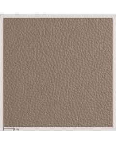 Montana BR leather, Elephant 120006 